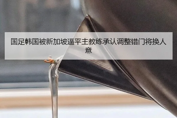 guo-zu-han-guo-bei-xin-jia-po-bi-ping-zhu-jiao-lian-cheng-ren-tiao-zheng-cuo-men-jiang-huan-ren-yi-2-271.jpg